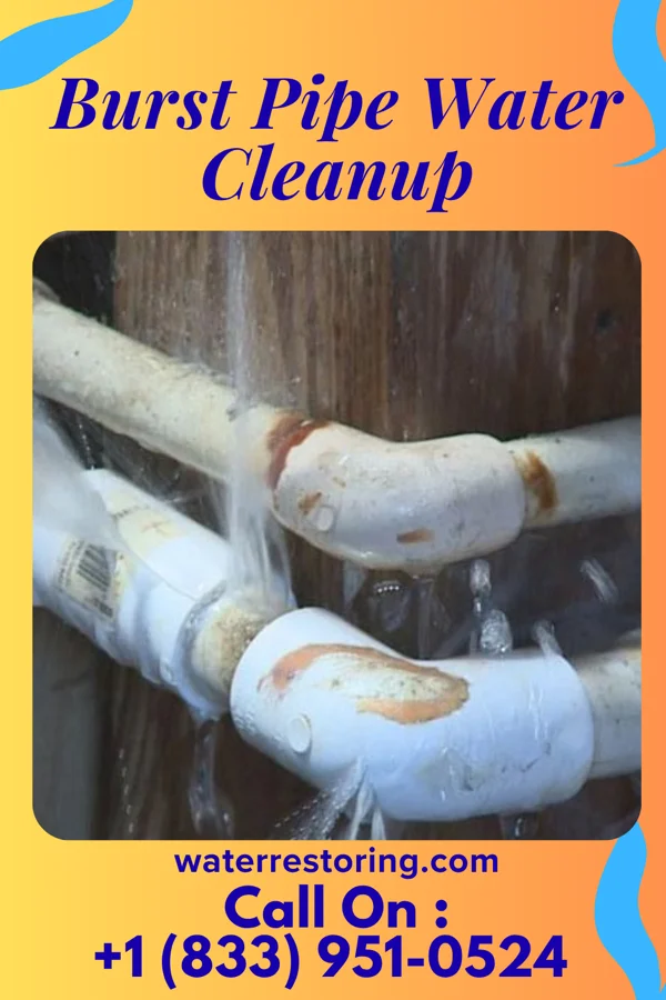 Burst Pipe Water Cleanup in Harriston, VA