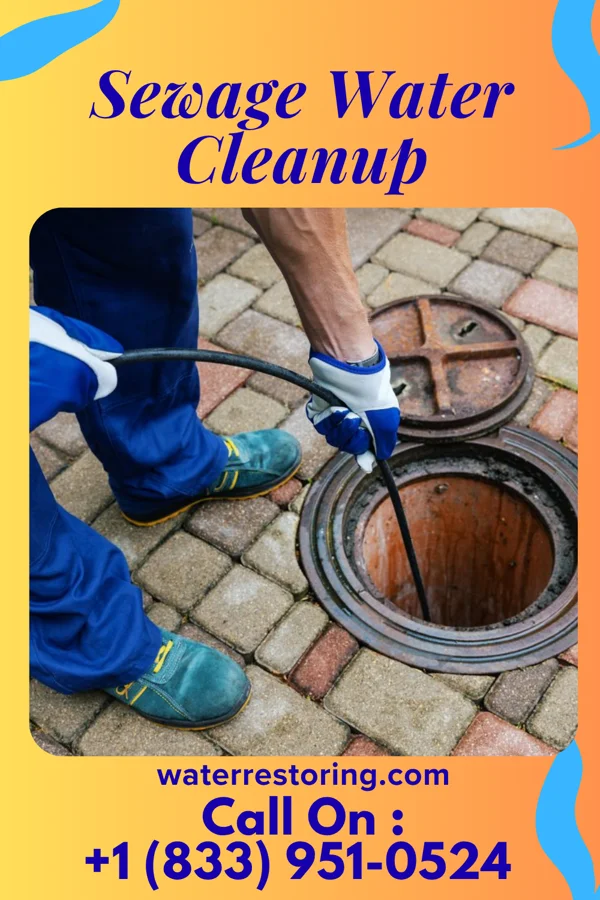 Sewage Water Cleanup in Harriston, VA
