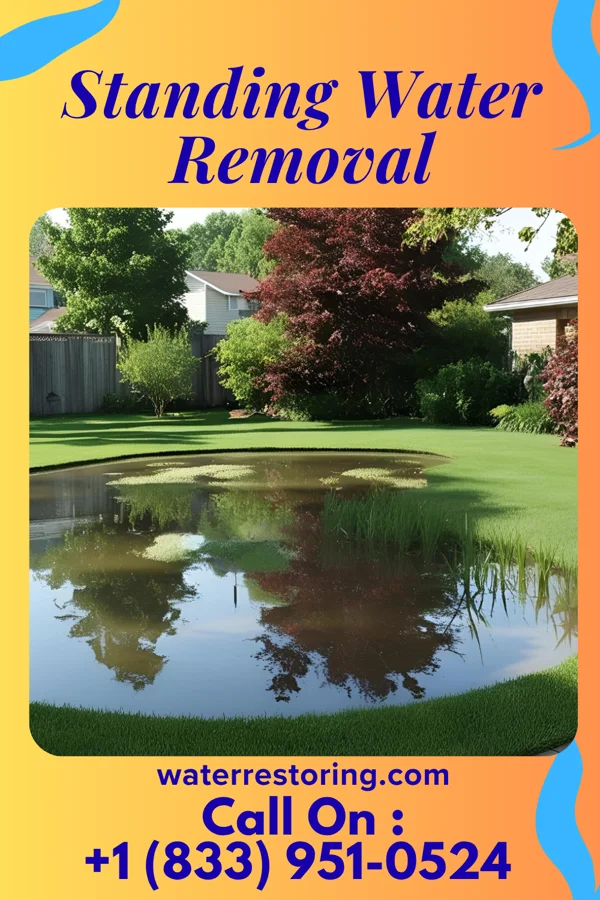 Standing Water Removal in Harriston, VA